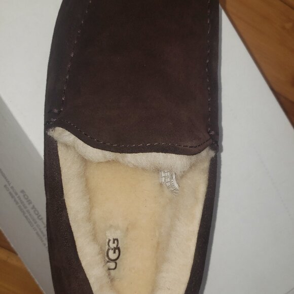 Men\'s UGG Ascot Slipper (Size 12) Espresso SuedeNEW IN BOX main image 6